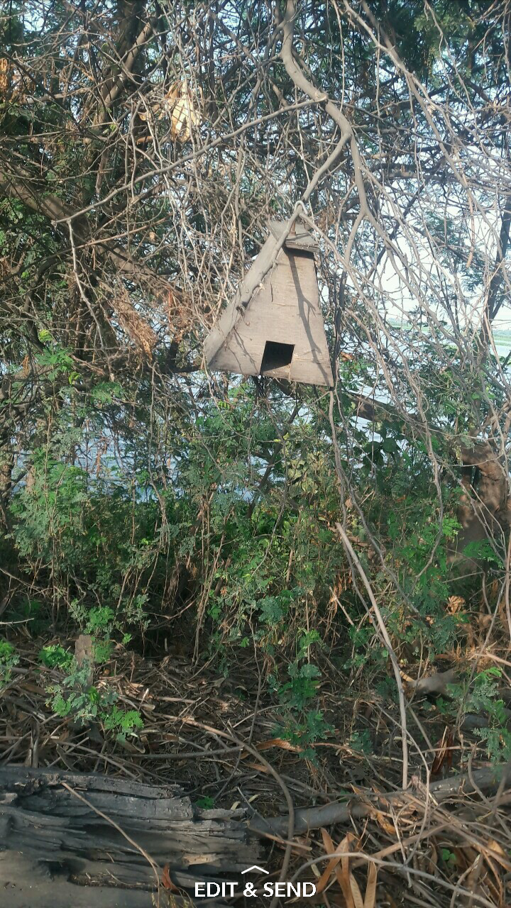 Bird Sanctuary Noida