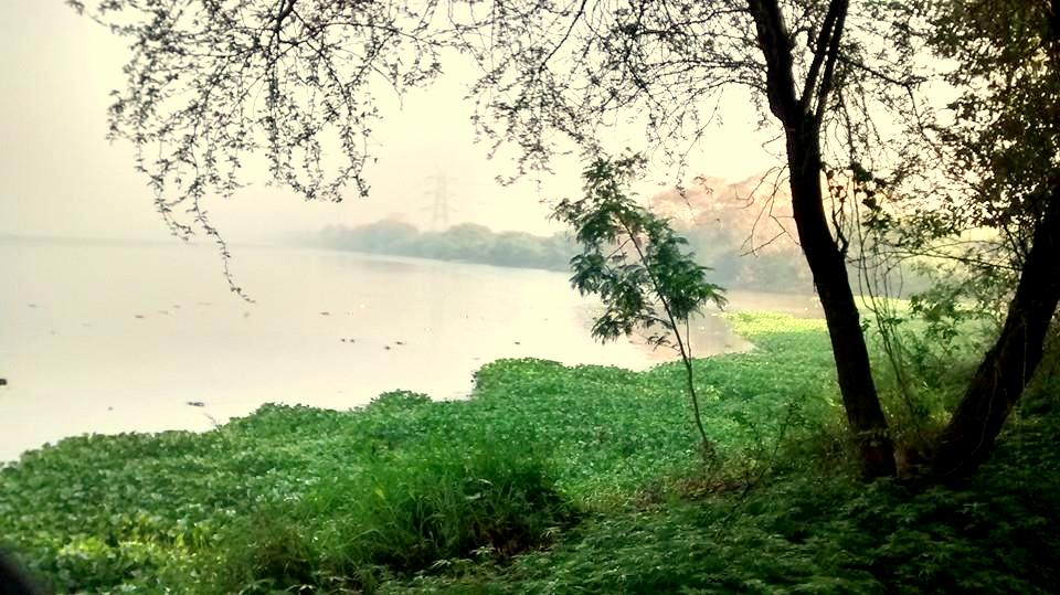 Okhla Bird Sanctuary