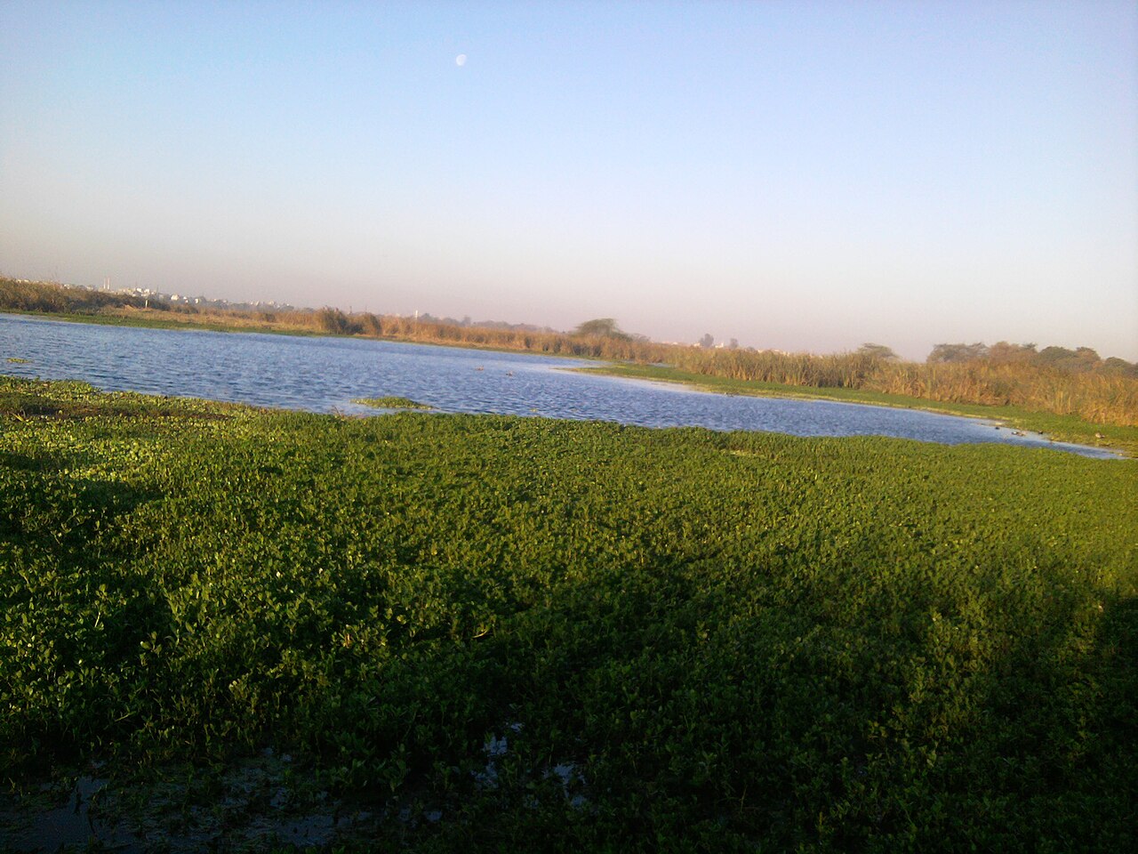 Yamuna View near Okhla